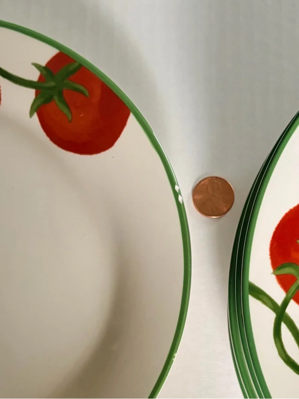 Sur La Table Tomato Vine Bistro Plates set of 6: Buy 5 Get One Free